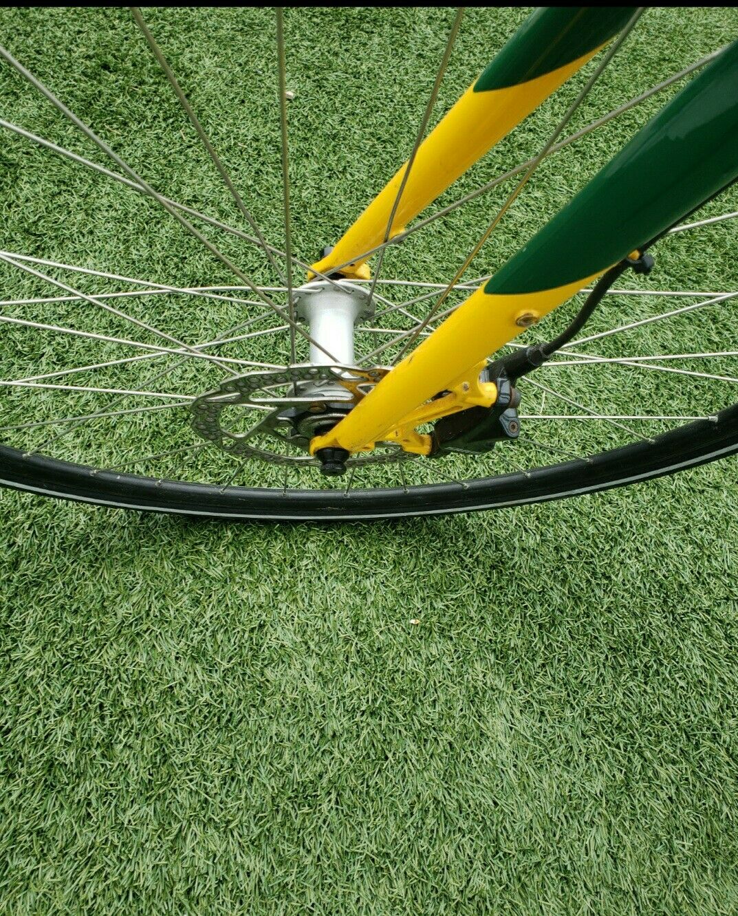 Spot Wazee Bike - Fresh Stock Dated February 2026