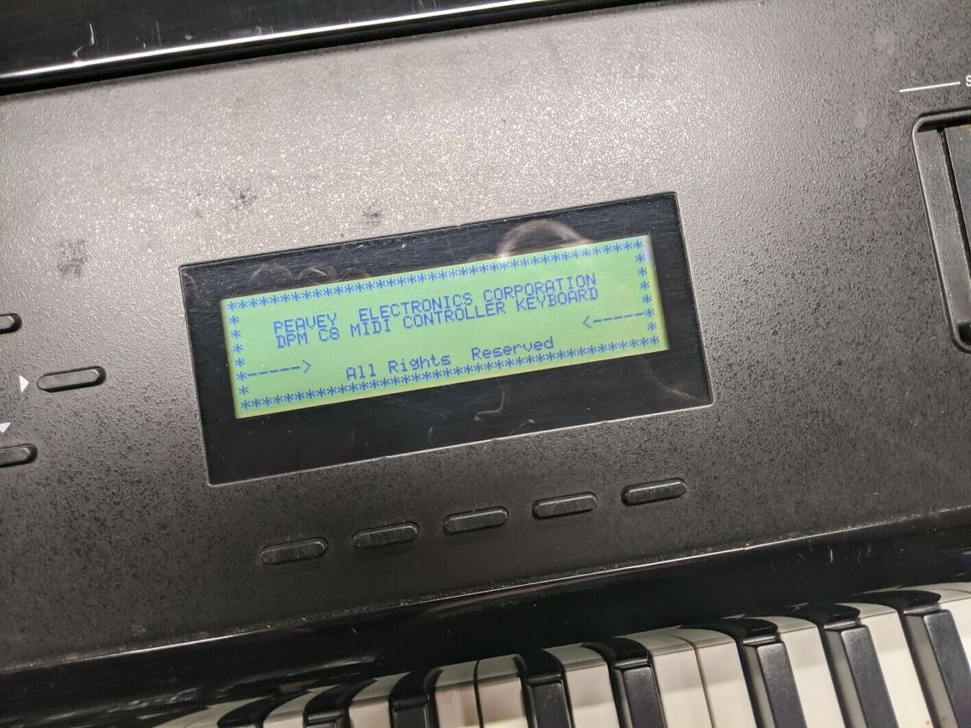 Peavey DPM C8 Professional Keyboard Controller 88 full weighted keys PICKUP ONLY - Fresh Stock Dated February 2026