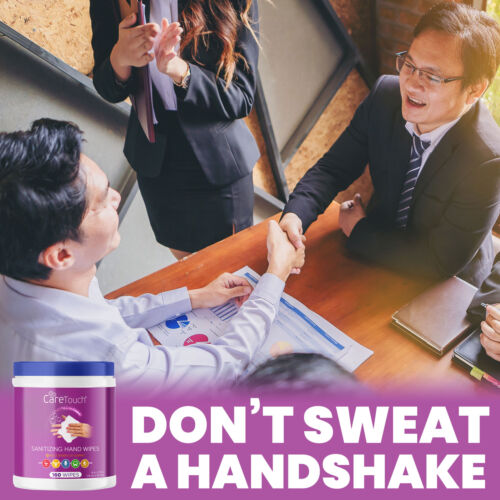 Care Touch Hand Sanitizing Wipes (3 Canisters) | 480 Antiseptic Wipes - Fresh Stock Dated February 2026