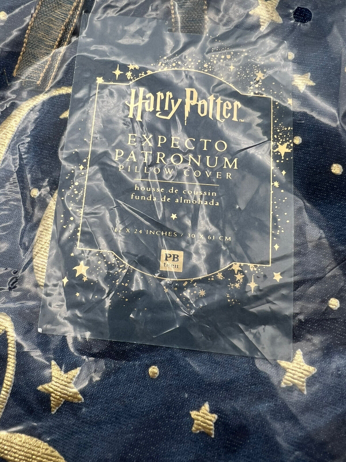 POTTERY BARN ‘Expecto Patronum’ Harry Potter Pillow Cover NEW 12