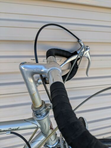 VTG Nishiki International 54cm Silver Road Bike 10 Speed w Leather Saddle *READ - Fresh Stock Dated February 2026