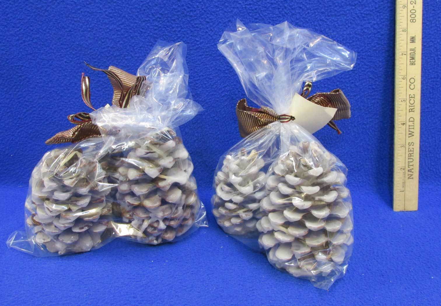 Wax Pine Cones Pinecone Fire Starters Hand Dipped w/ Wick Pit Indoor Outdoor Use - Fresh Stock Dated December 2025