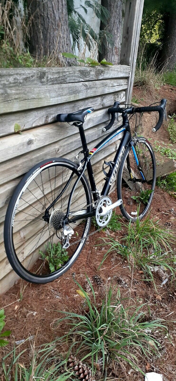 Specialized Dolce Bike road bicycle - Fresh Stock Dated February 2026