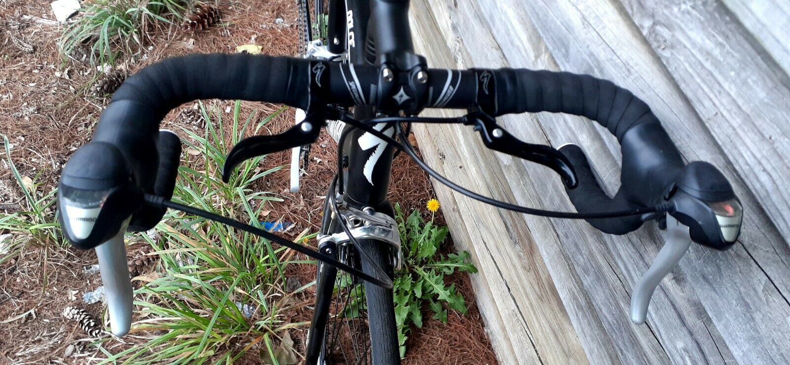 Specialized Dolce Bike road bicycle - Fresh Stock Dated February 2026