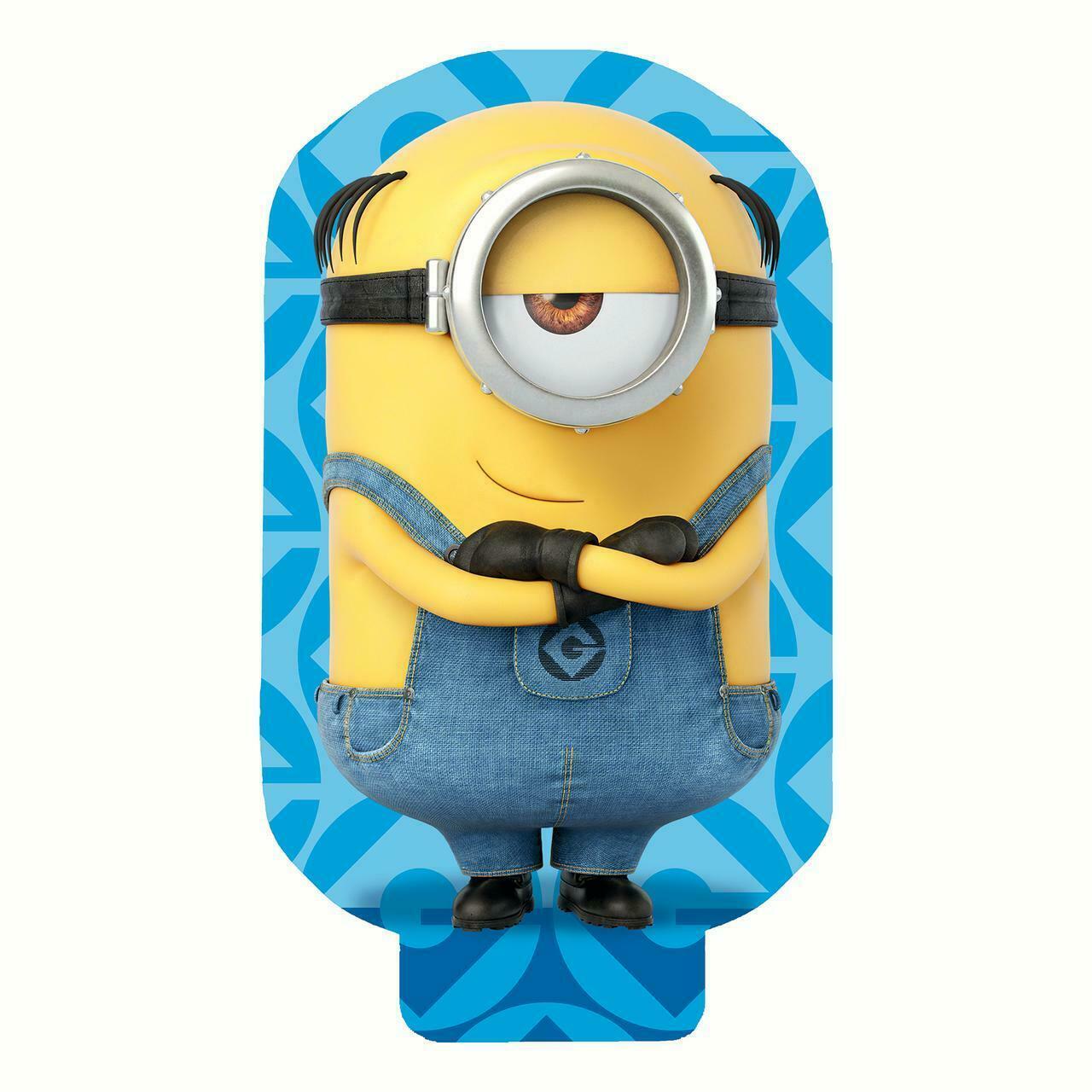 Bundle Despicable Me Shaped Beach Towel, Sun-Staches Sunglasses and  Drawstring - Fresh Stock Dated February 2026