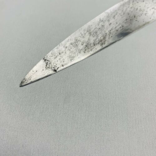 <Sharpened> Japanese Chef's Kitchen Knife 堺直助 Sashimi  195/340 From Japan SS700 - Fresh Stock Dated December 2025