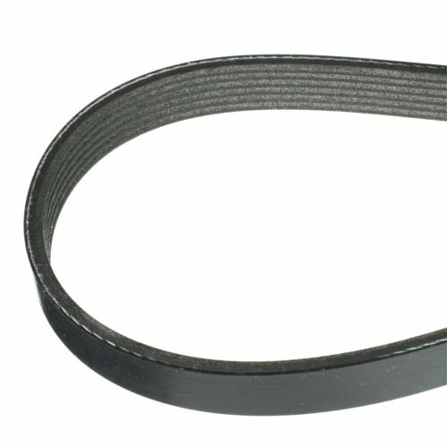 Mercury Marine Serpentine Belt #57-865615Q01 - Fresh Stock Dated February 2026