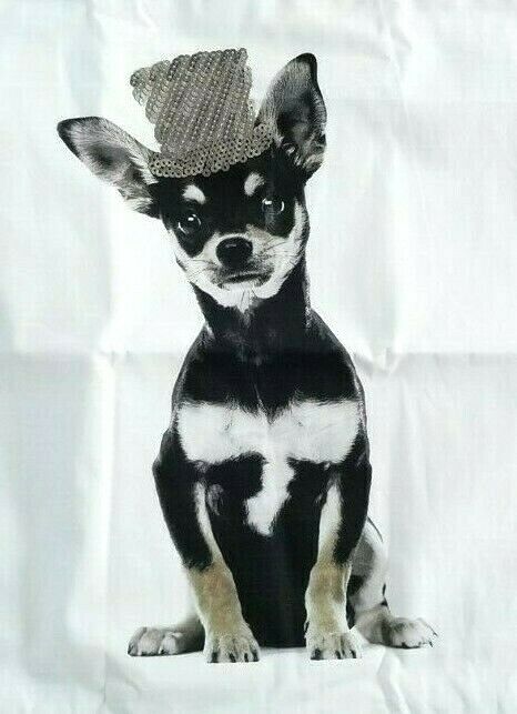 NEW Pottery Barn Teen ASPCA CHIHUAHUA SEQUIN HAT Pillow Cover PARTY DOGS #P139 - Fresh Stock Dated December 2025