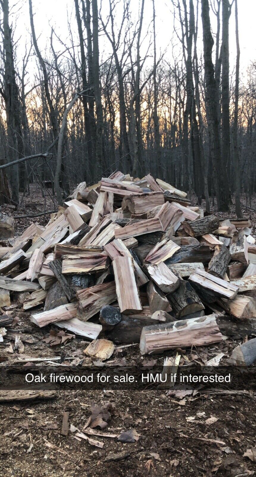 Firewood - Fresh Stock Dated February 2026