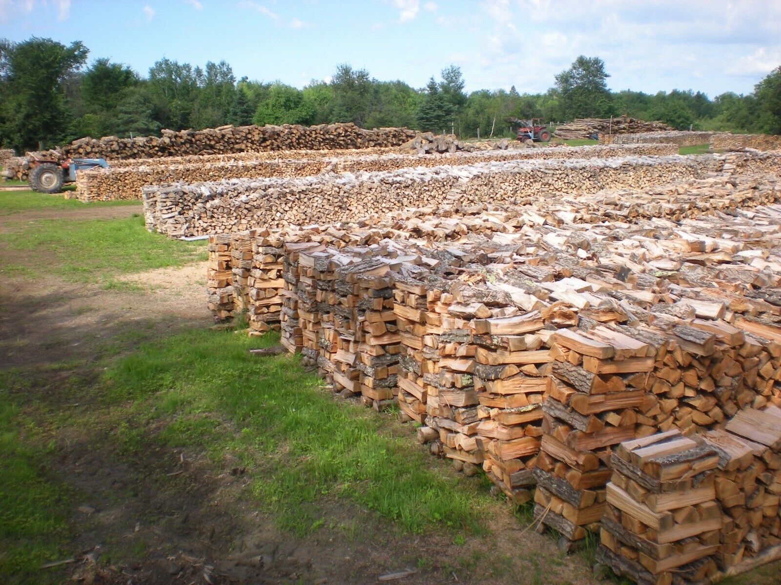 FIREWOOD - Fresh Stock Dated December 2025