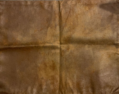 Pottery Barn PB Teen Harry Potter Faux Leather Golden Snitch 12x16