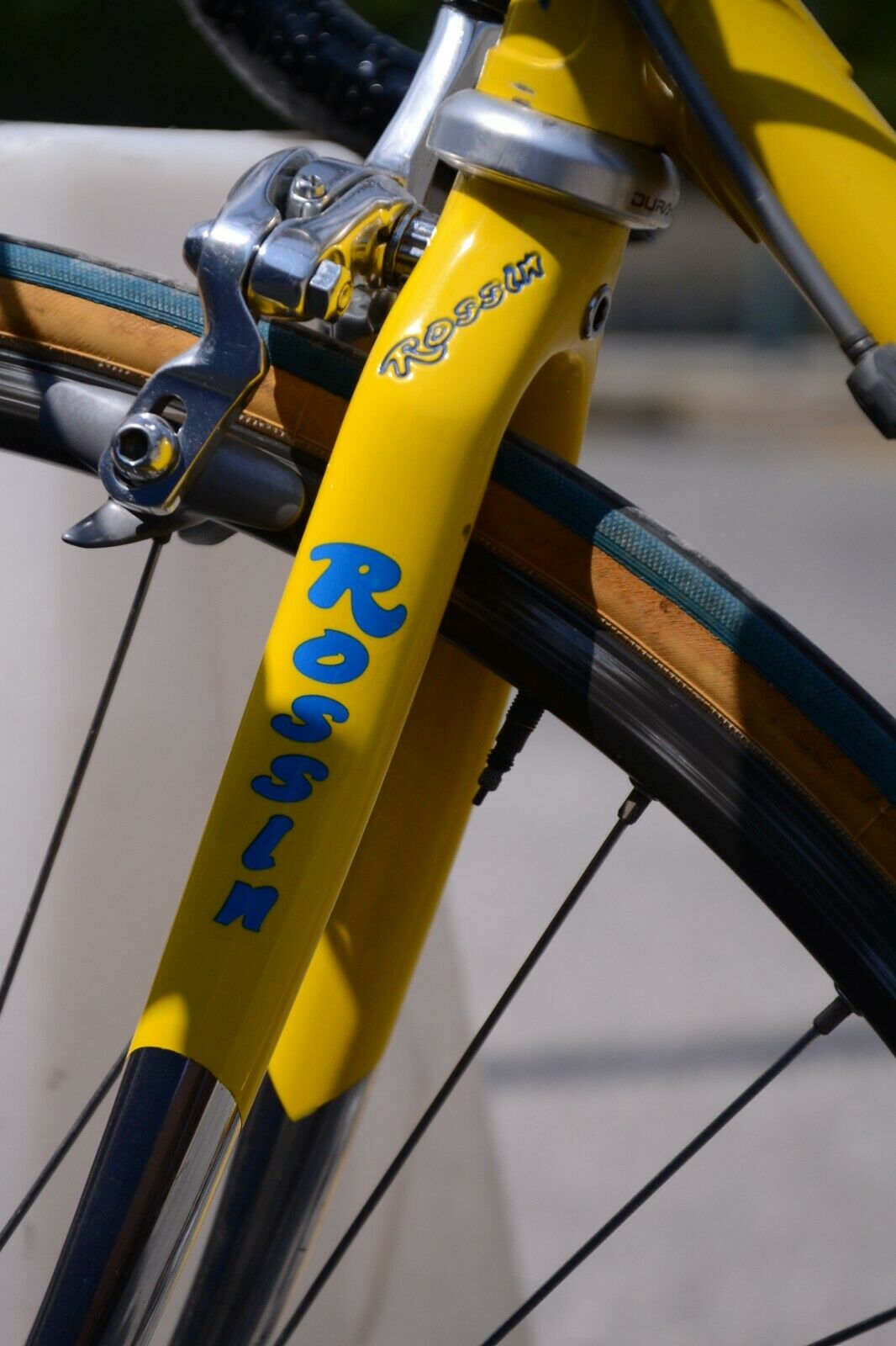 Steel Vintage Bicycle Rossin Columbus SLX Road Classic Racing Road Bike 90's Shi - Fresh Stock Dated February 2026