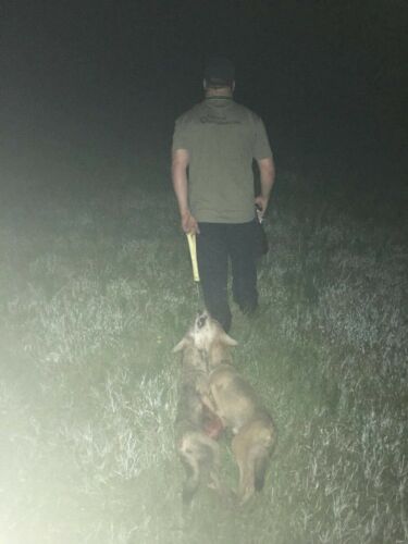 The Pocket Drag Ultimate Hunting Tool American Made Free Shipping - Fresh Stock Dated December 2025