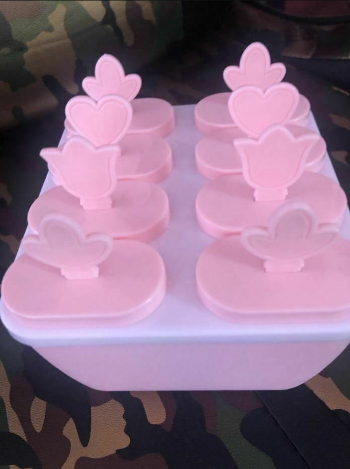 Frozen Popsicle Molds Ice Cream Pop Maker Freezer Tray Sticks with Fruit Summer - Fresh Stock Dated February 2026