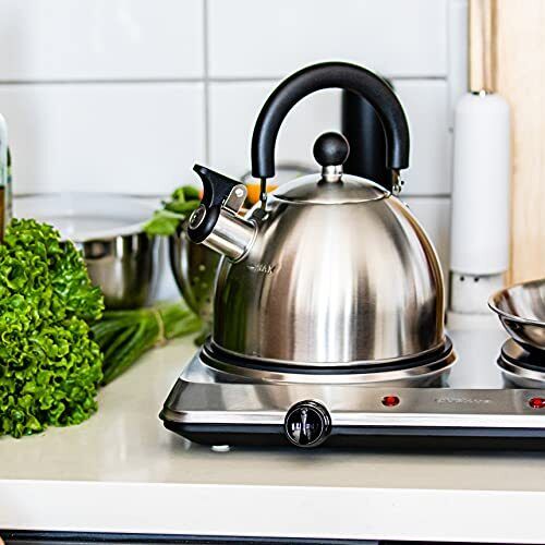 Infrared Electric Burner Hot Double Ceramic Plate Cooktop Cooking Glass Dual - Fresh Stock Dated February 2026