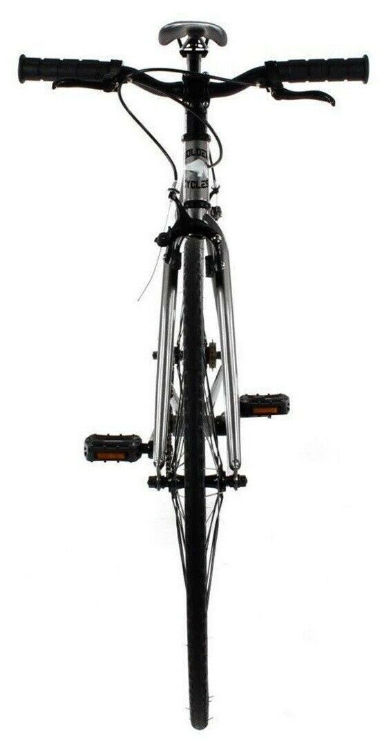 Golden Cycles Fixed Gear Single Speed Bike Bicycle Asphalt - 41 To 63 CM CHOICE - Fresh Stock Dated February 2026
