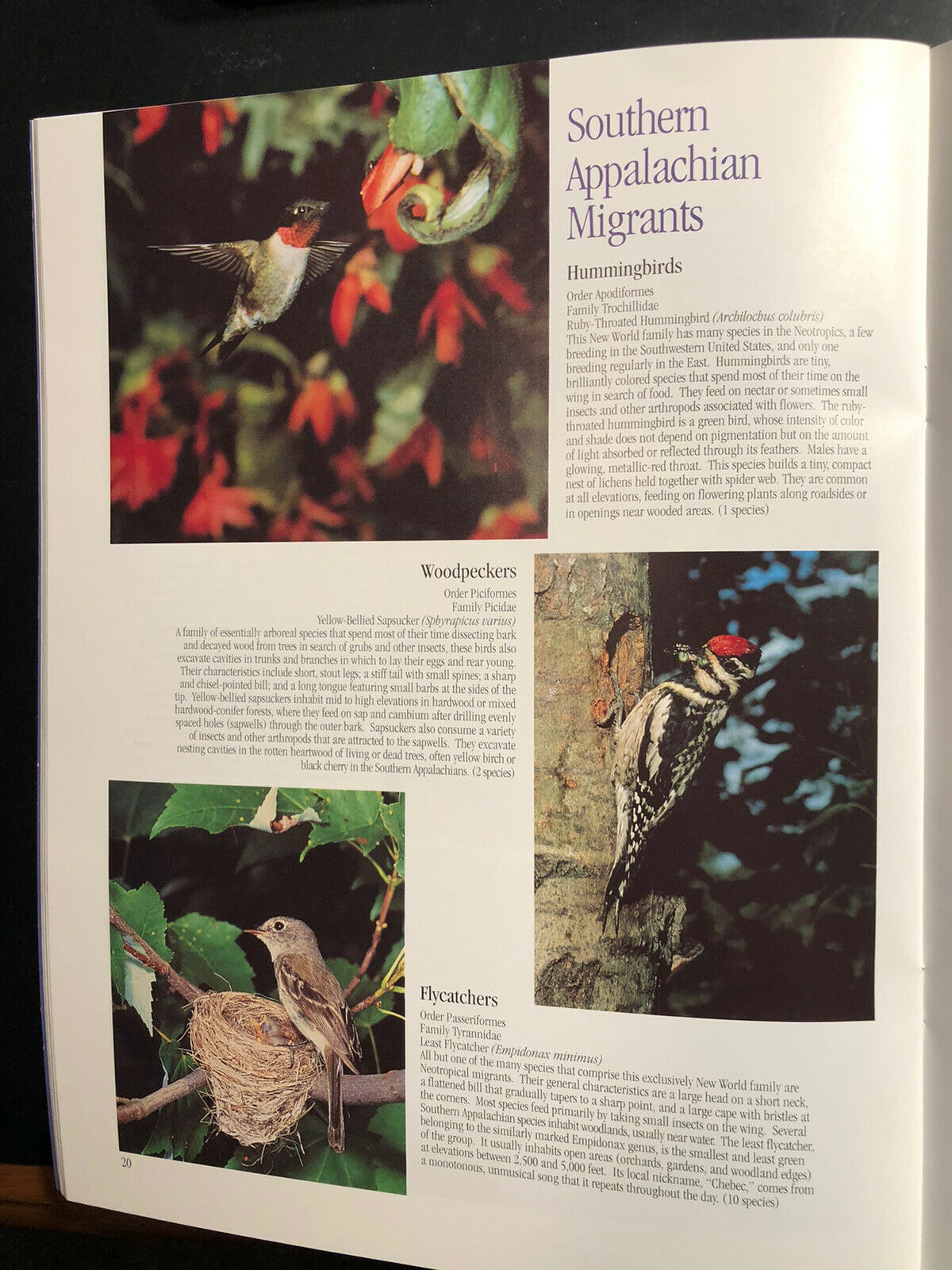 1996 Neotropical Migratory birds of the Southern Appalachians, USDA Forest Svc - Fresh Stock Dated December 2025