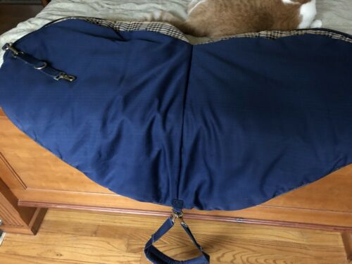 Blue Roustabout English Saddle Carrier - Fresh Stock Dated December 2025