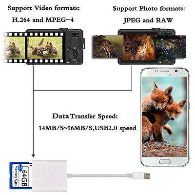3 in 1 Light-ing to 2.0 SD/TF USB Card Camera Reader Adapter Cable for Iphone - Fresh Stock Dated February 2026