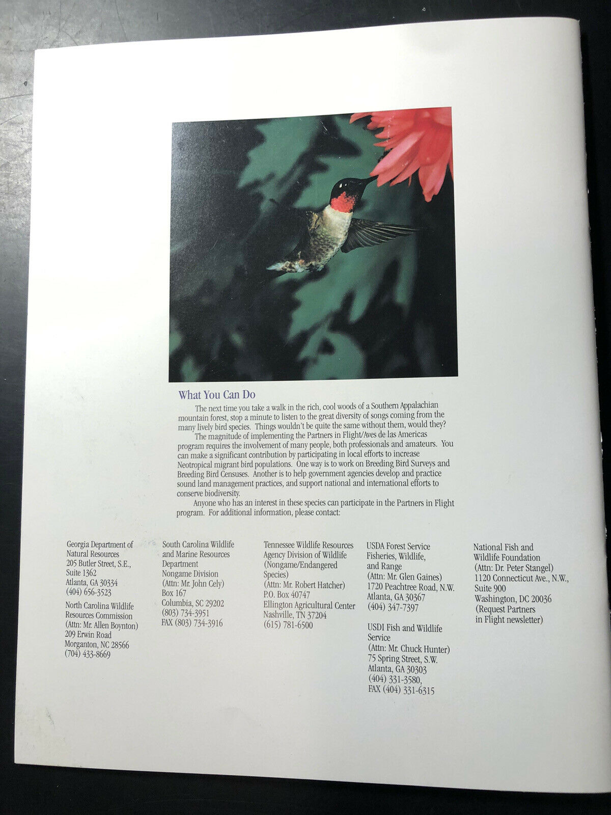 1996 Neotropical Migratory birds of the Southern Appalachians, USDA Forest Svc - Fresh Stock Dated December 2025