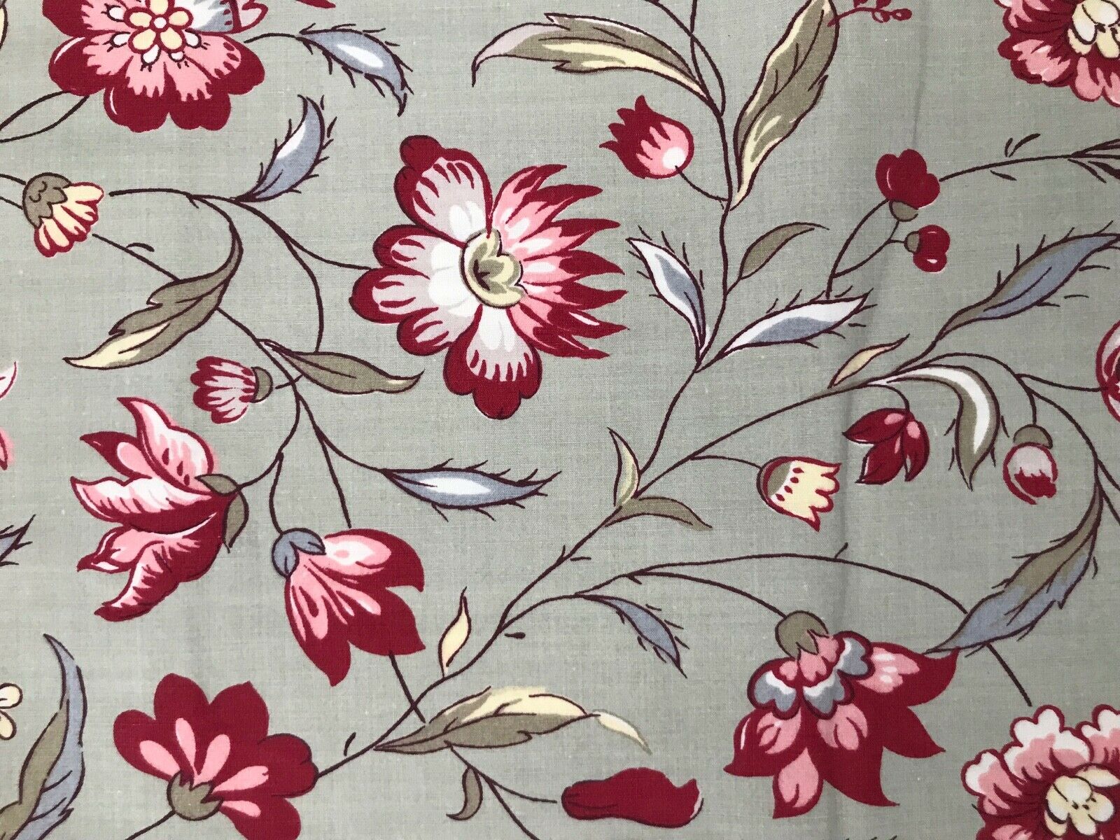 POTTERY BARN PAIR BOTANICAL FLOWERS SHAMS, ENGLISH COTTAGE CHIC - Fresh Stock Dated December 2025