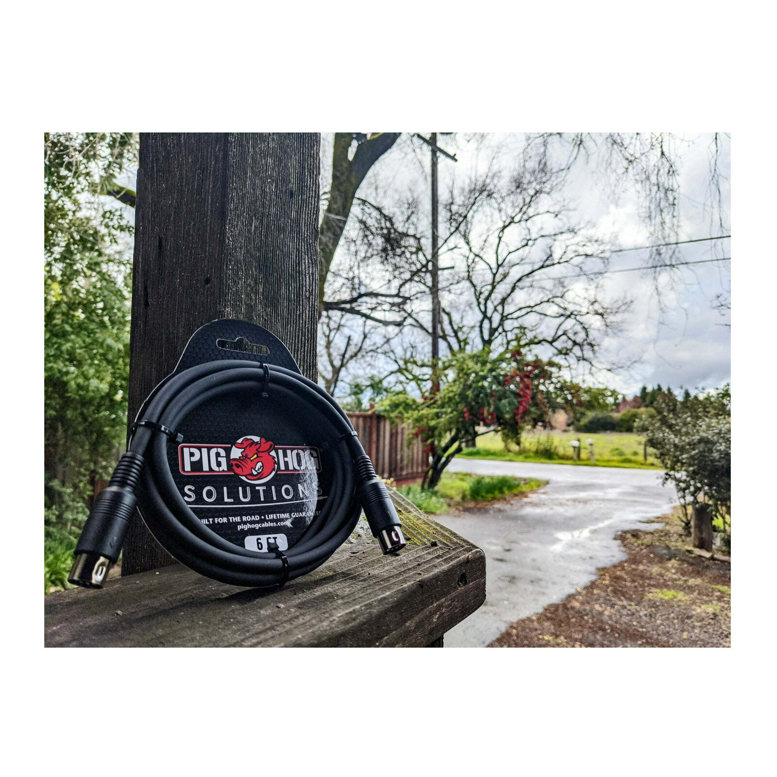 Arturia MiniLab MKII Inverted MIDI Controller Black with PigHog 6ft MIDI Cable - Fresh Stock Dated February 2026