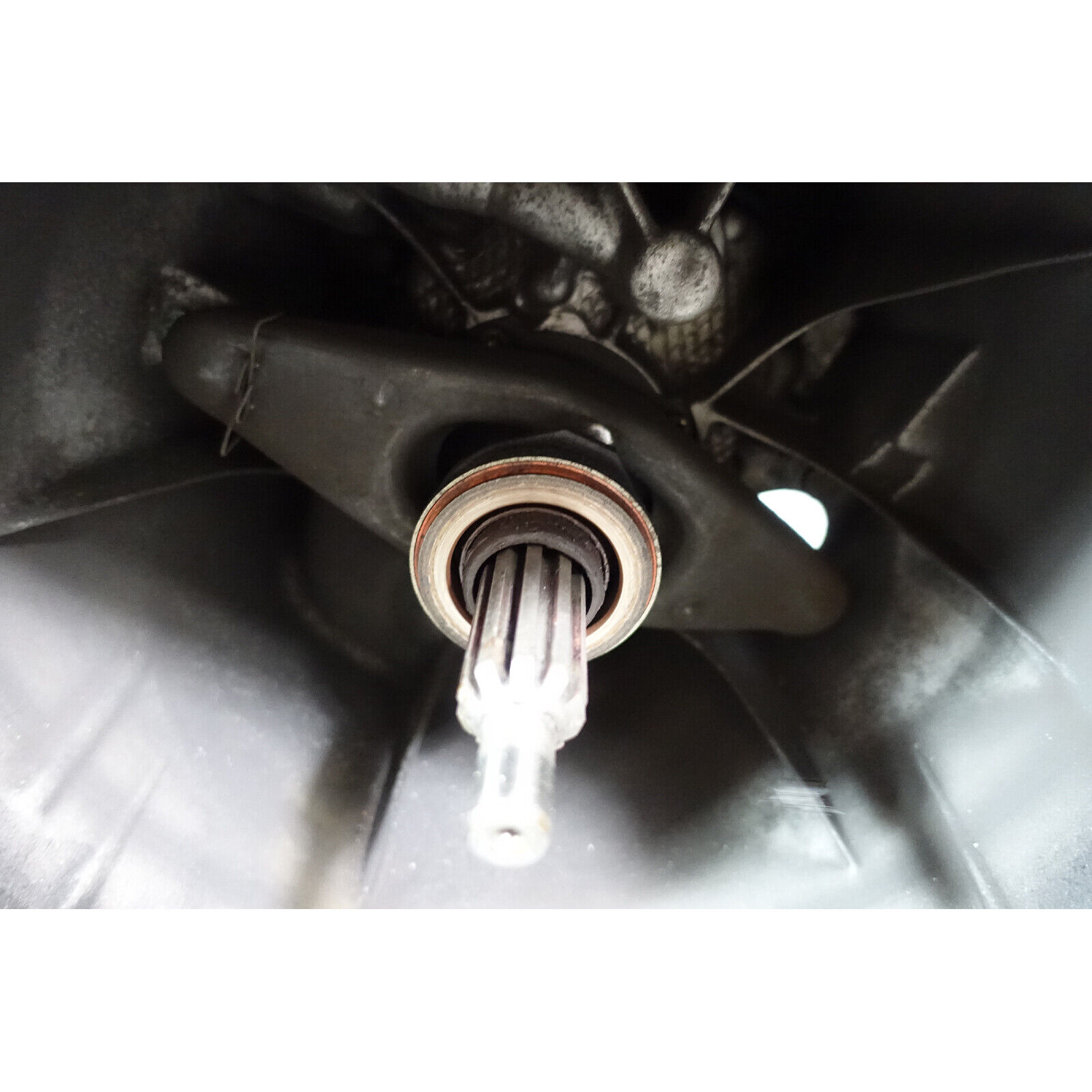 1995-2003 BMW E46 E36 OEM ZF S5D 320Z 5-Speed Manual Transmission Gearbox OEM - Fresh Stock Dated February 2026