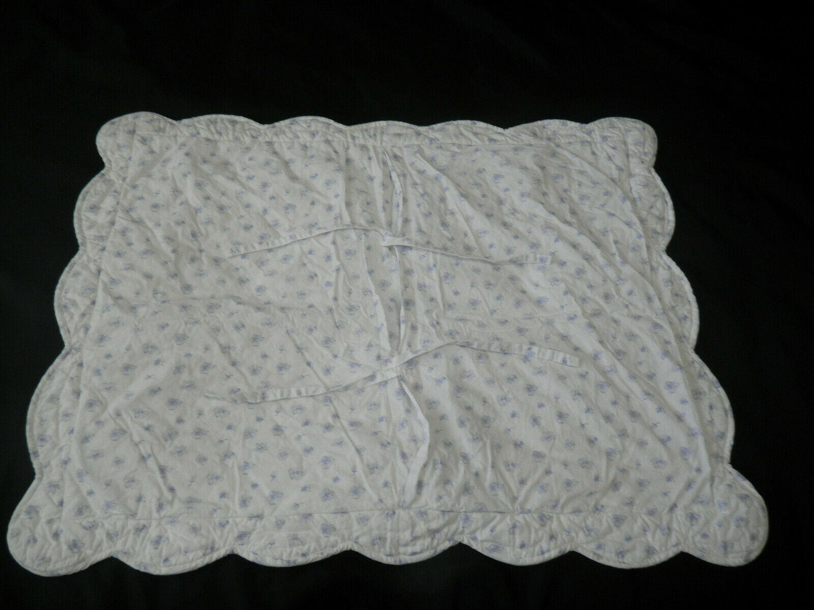 Pottery Barn Kids French Rose Blue STD Quilted Sham Floral Rose White Tie Close - Fresh Stock Dated December 2025