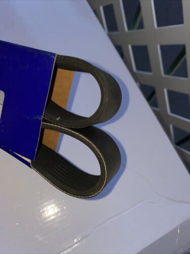 Volvo Penta  Serpentine Drive Belt 978217 - Fresh Stock Dated February 2026