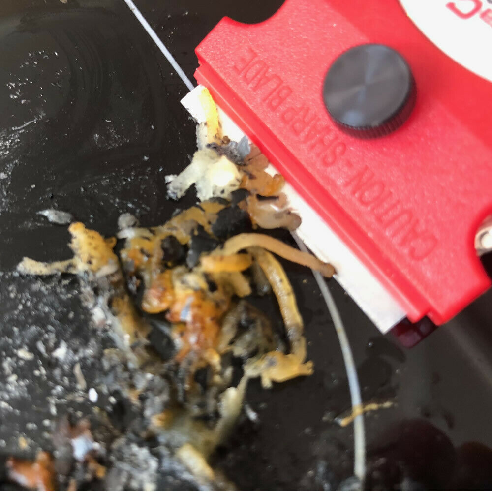 Werxrite Cooktop Stovetop Glass Ceramic Metal Blade Razor Scraper + 5 Blades - Fresh Stock Dated December 2025