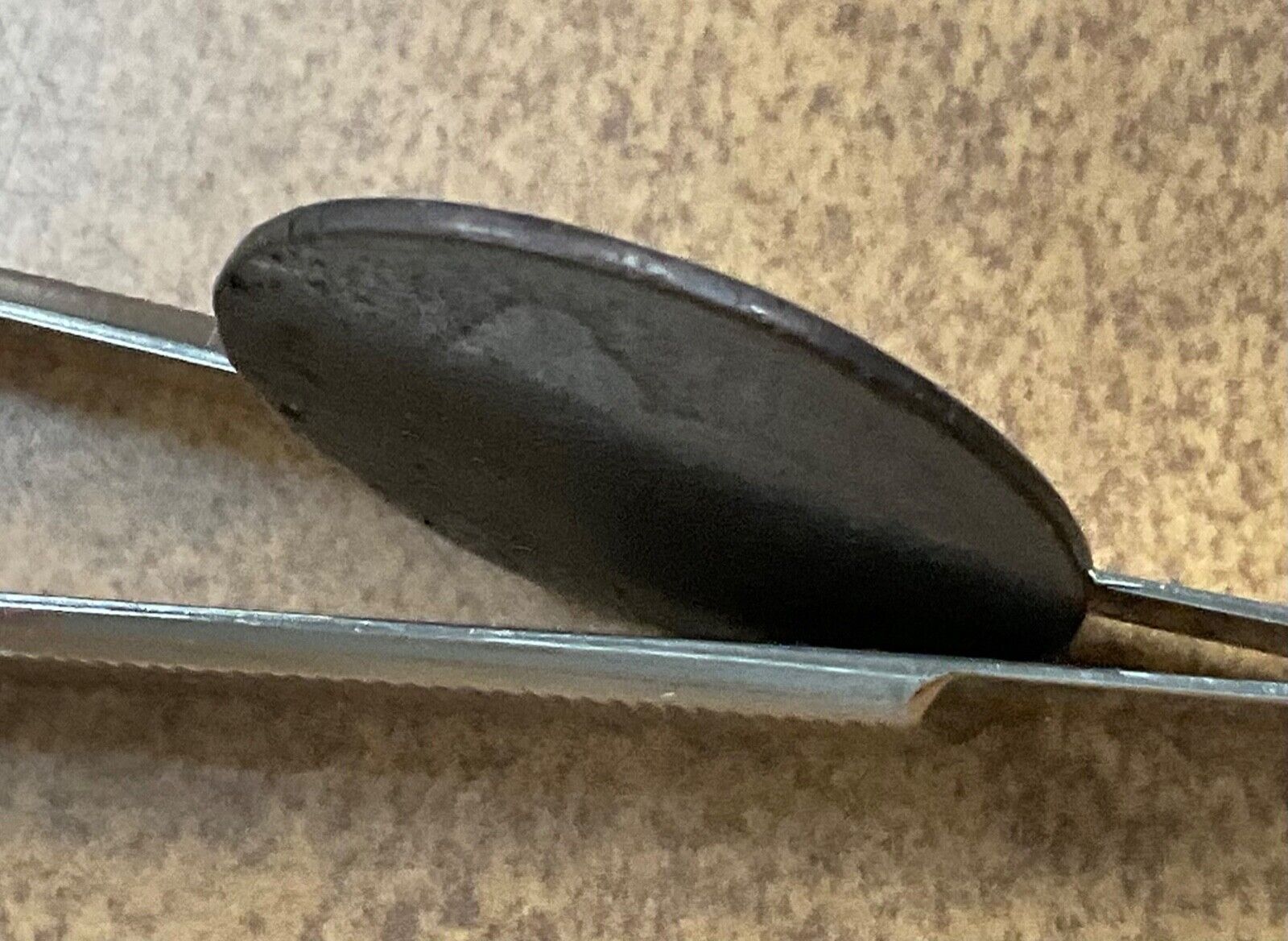 Dated edge Type  Liberty Cap   Half Cent   Possibly 1795-97 - Fresh Stock Dated February 2026