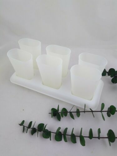 Tupperware Ice Tups Popsicle Maker Mold 6 with Base and 7 Handles - Fresh Stock Dated February 2026