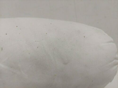 Pottery Barn Kids Decorative Pillow Insert  6