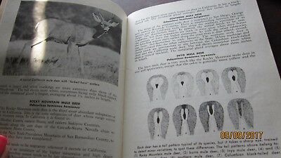 Big Game of California Dept of Fish and Game by Dasmann 1975 Book illustrated - Fresh Stock Dated December 2025