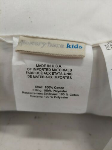 Pottery Barn Kids Decorative Pillow Insert  6