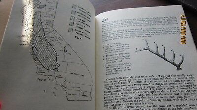 Big Game of California Dept of Fish and Game by Dasmann 1975 Book illustrated - Fresh Stock Dated December 2025