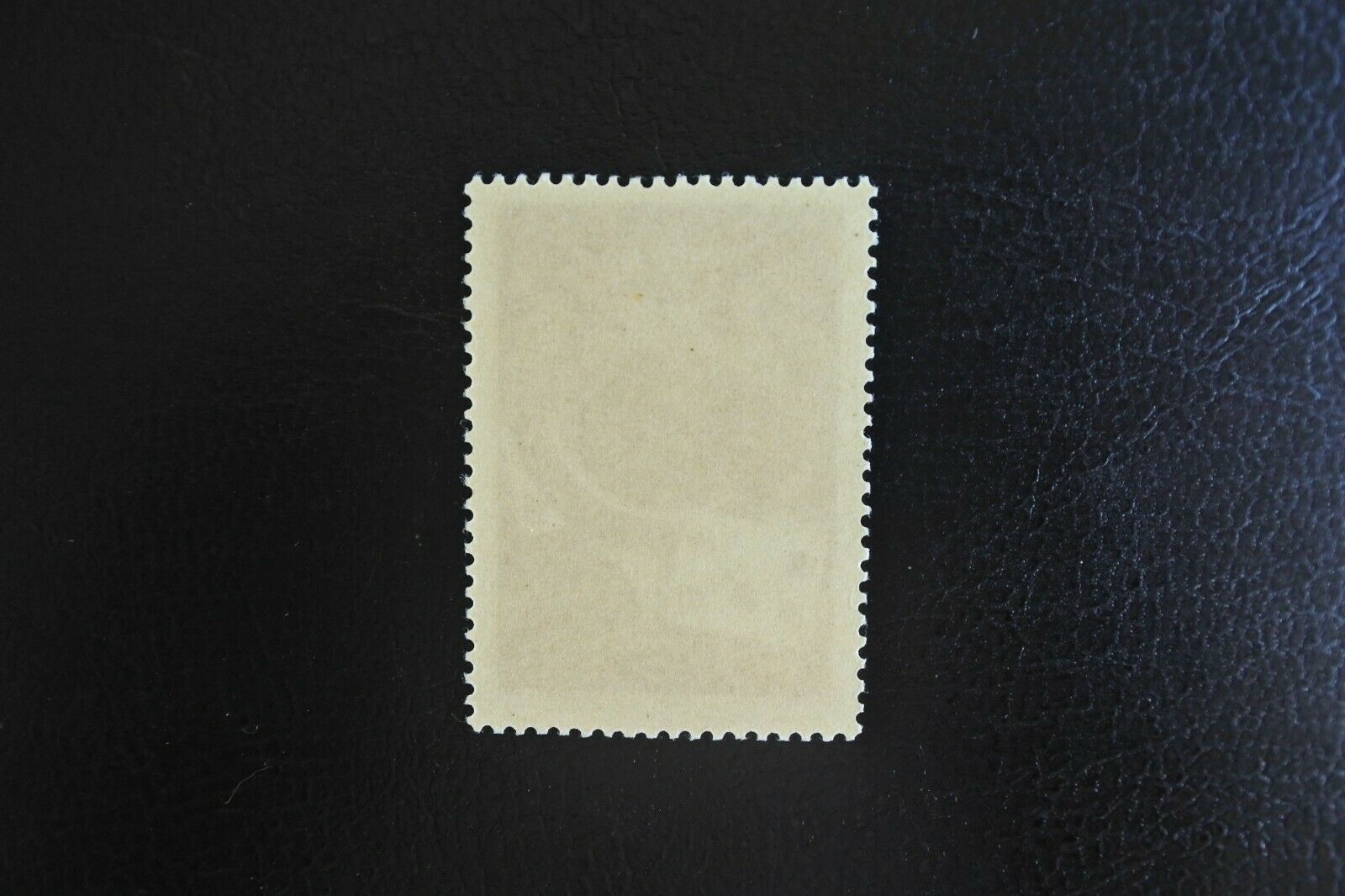 Macau (Portugal - China): Afinsa 340 in MNH - Fresh Stock Dated February 2026