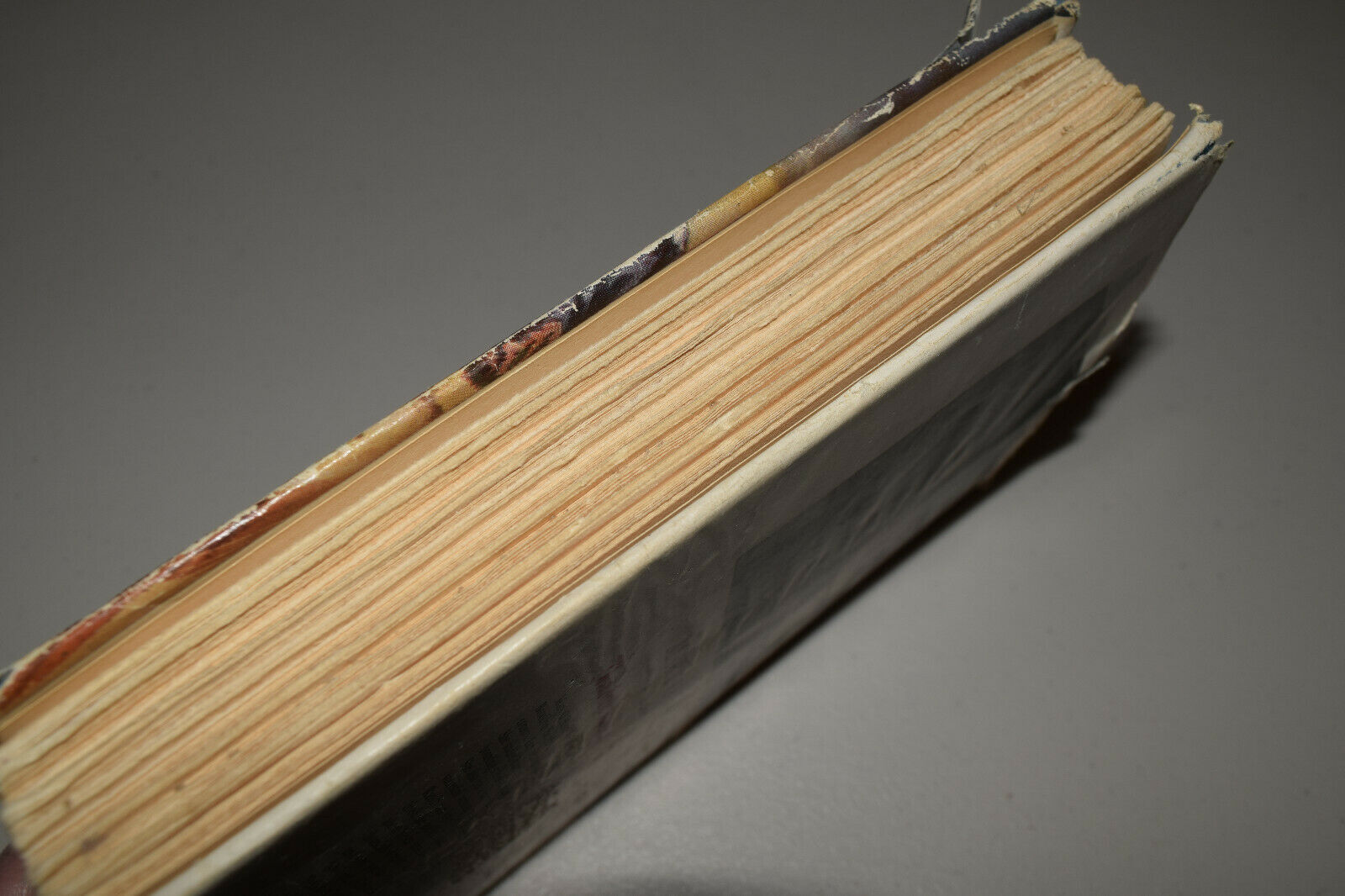 Thunderhead by Mary O'Hara Author of My Friend Flicka 1943 HBDJ 3rd Impression - Fresh Stock Dated December 2025