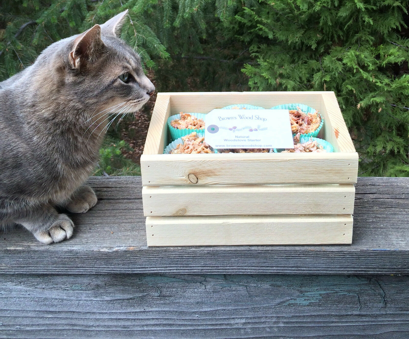 Premium Soy Wax Firestarters By the Dozen - Eco Friendly  FREE DECORATIVE CRATE! - Fresh Stock Dated February 2026