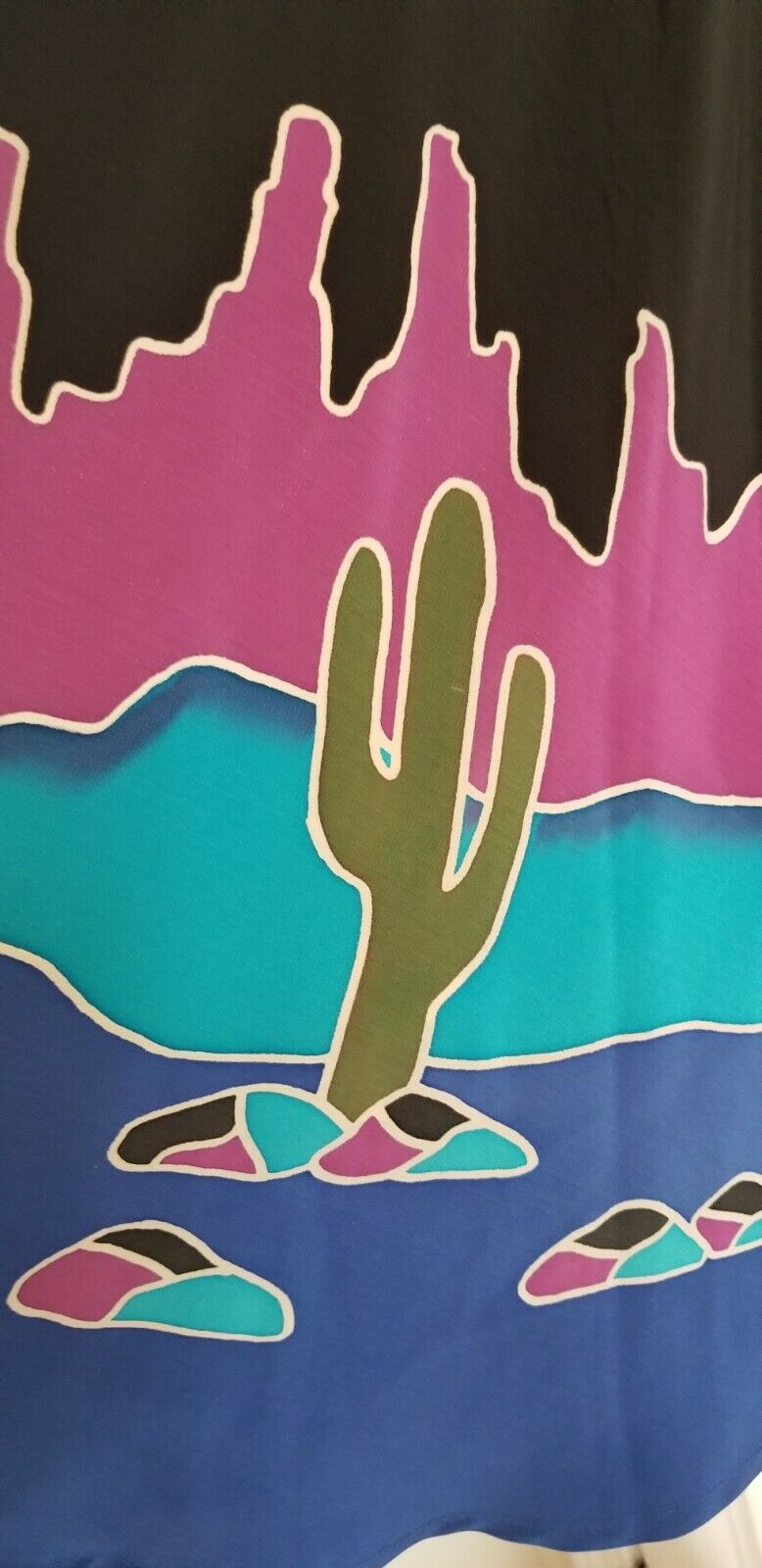 Vintage Skirt Desert Scene Border Print 30