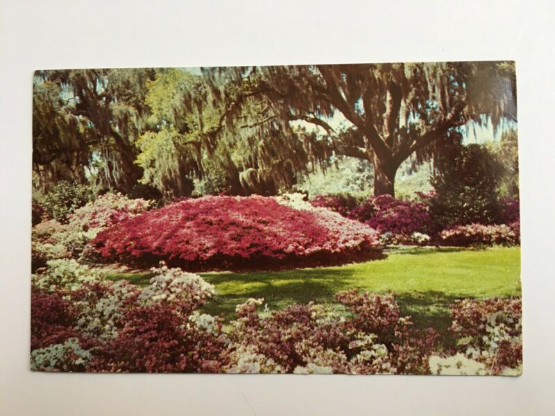 Jamaica Independence Stamp With Overprint on Vintage Chrome Postcard to NY - Fresh Stock Dated February 2026