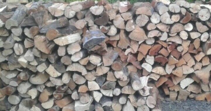 Silver Madrone 5.00 Free Local Delivery In Glendale OR 5412911615 /5415305295 - Fresh Stock Dated December 2025