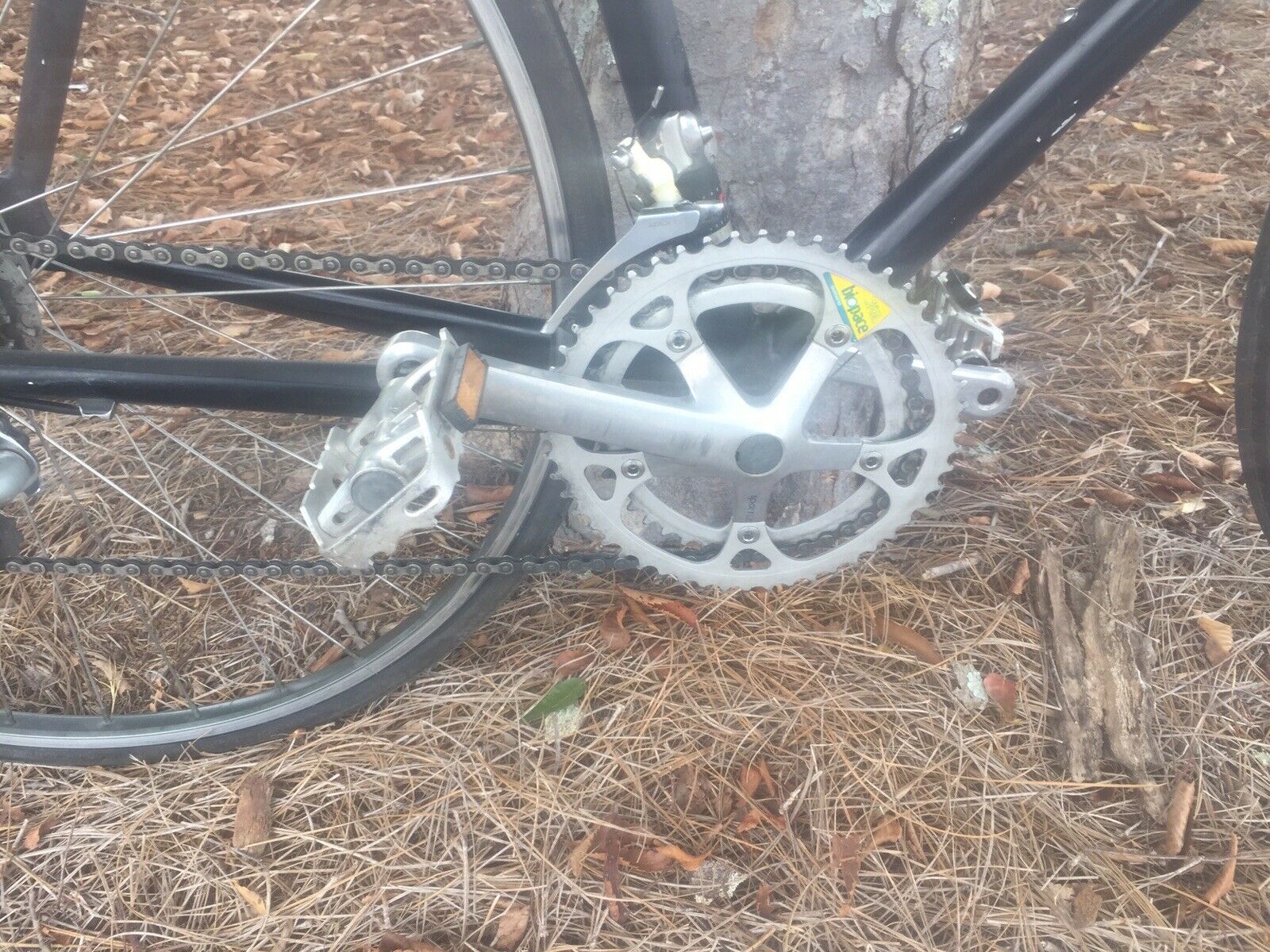 Vintage Schwinn 564 Aluminum Touring Road Bike 21.5” - Fresh Stock Dated February 2026