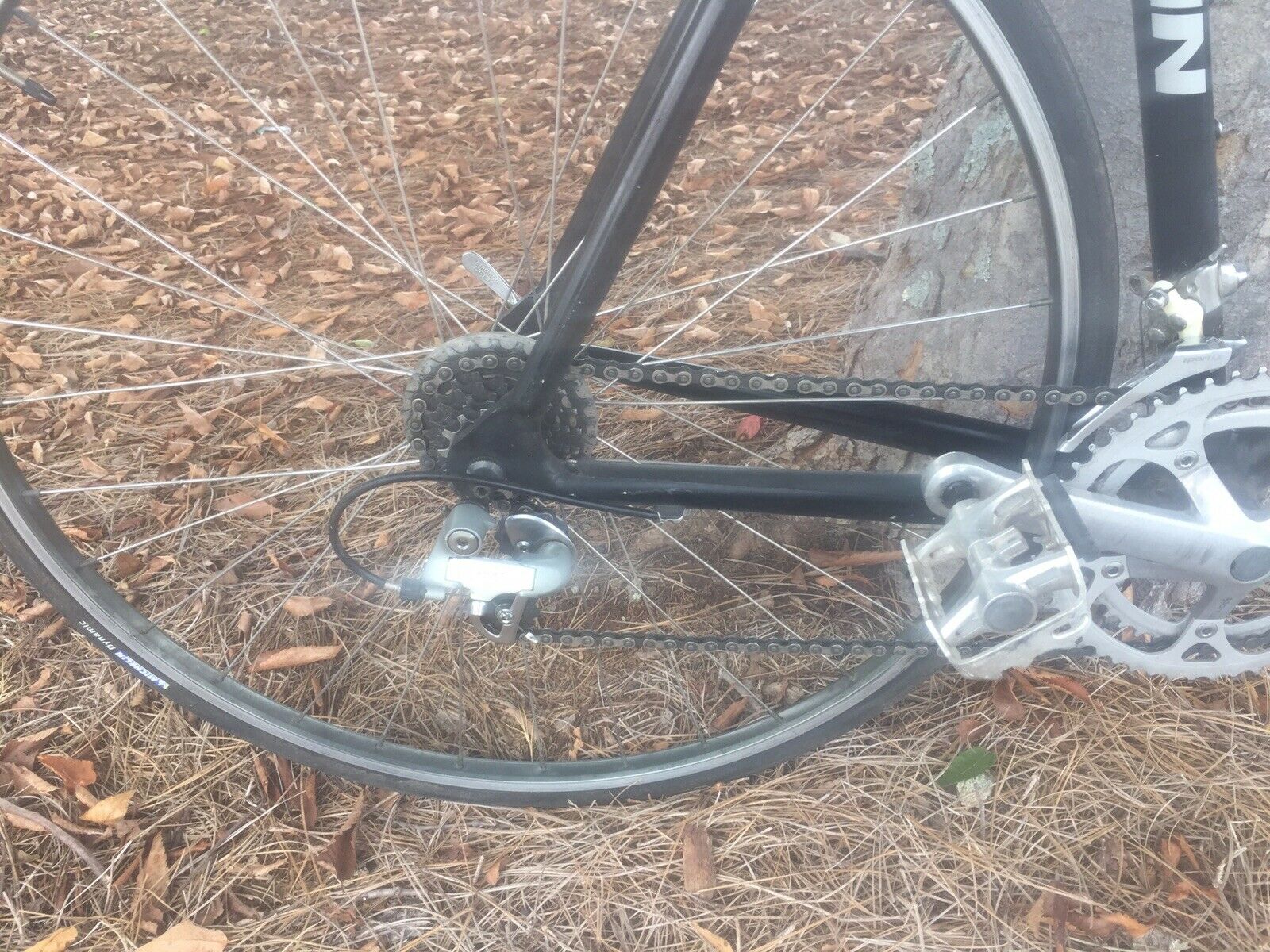 Vintage Schwinn 564 Aluminum Touring Road Bike 21.5” - Fresh Stock Dated February 2026