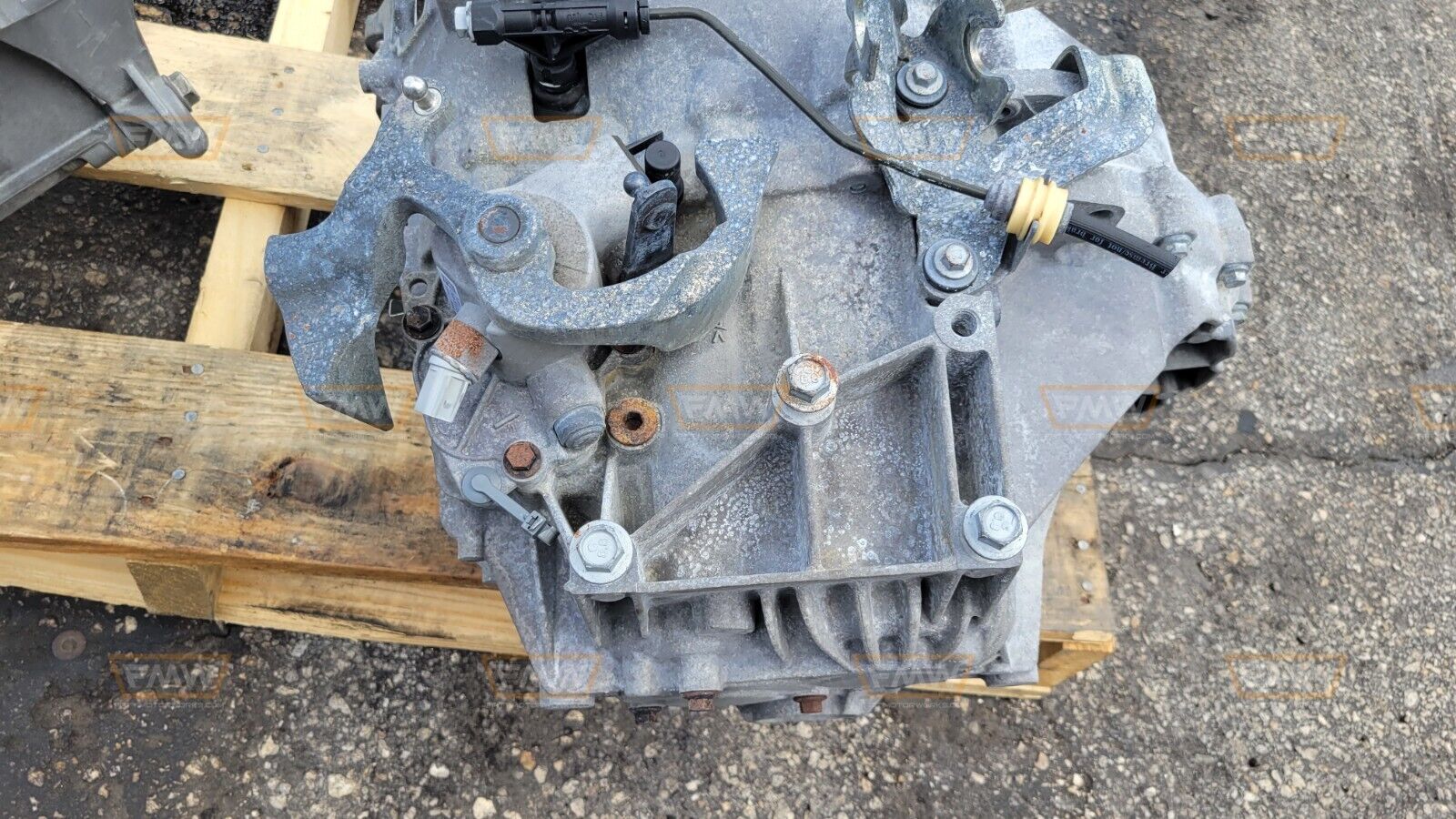 13-14 Focus ST 2.0 Turbo 6 Speed Manual Transmission MT CV6B-7002-GCC - Fresh Stock Dated February 2026