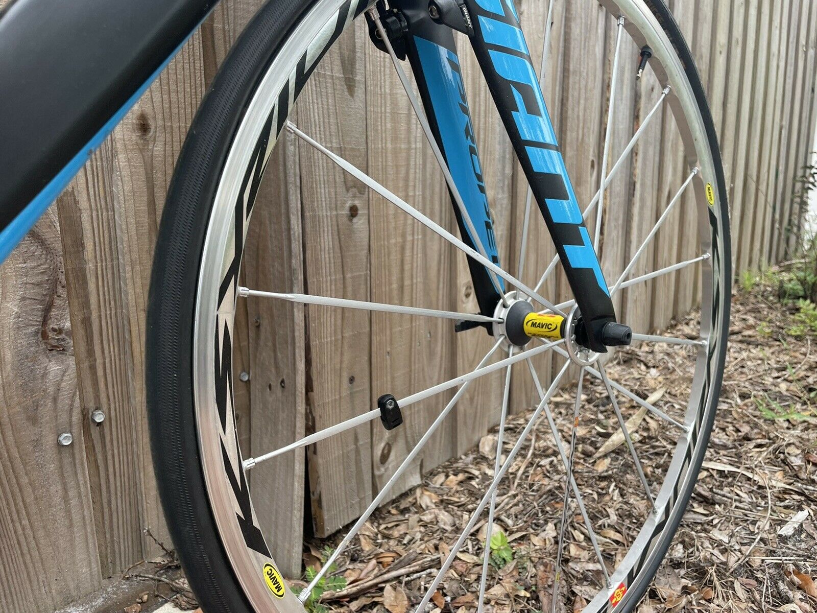 2016 Giant Propel Advanced 55.5 Medium - Fresh Stock Dated February 2026