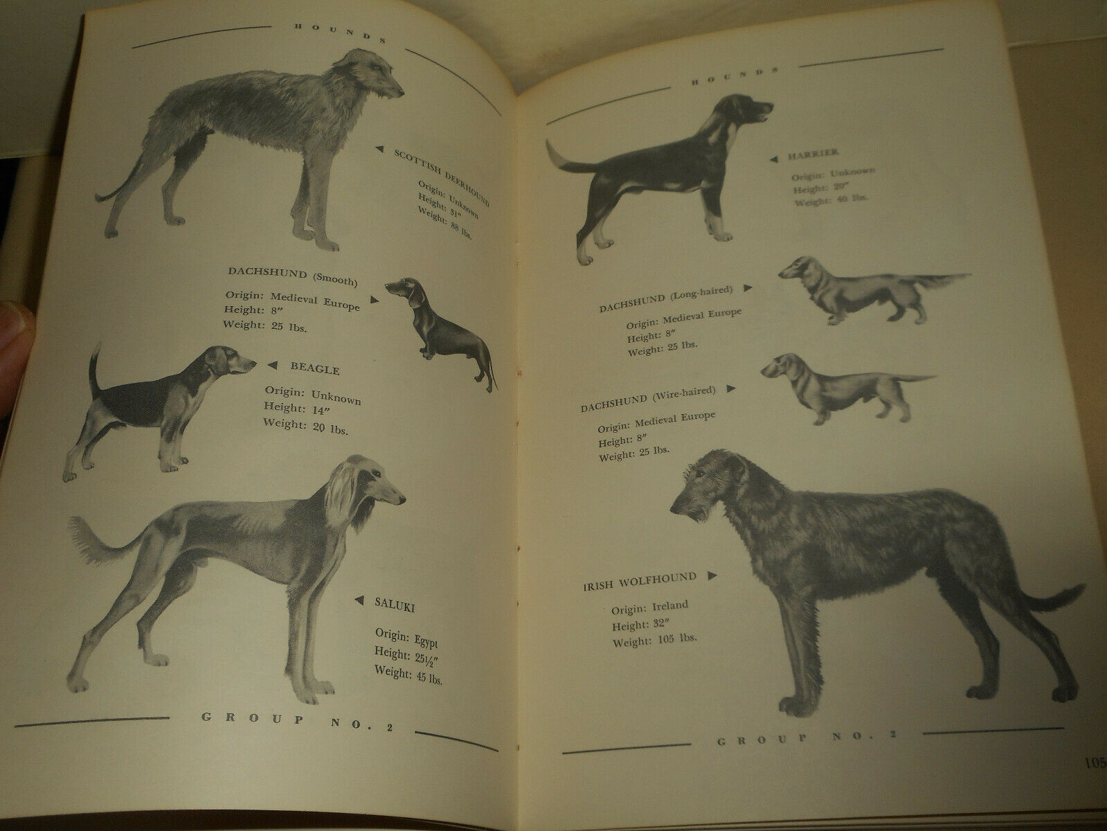 Vintage KASCO MILLS Dog Owners Guide Book 1955 Funny Informative Illustrated - Fresh Stock Dated December 2025