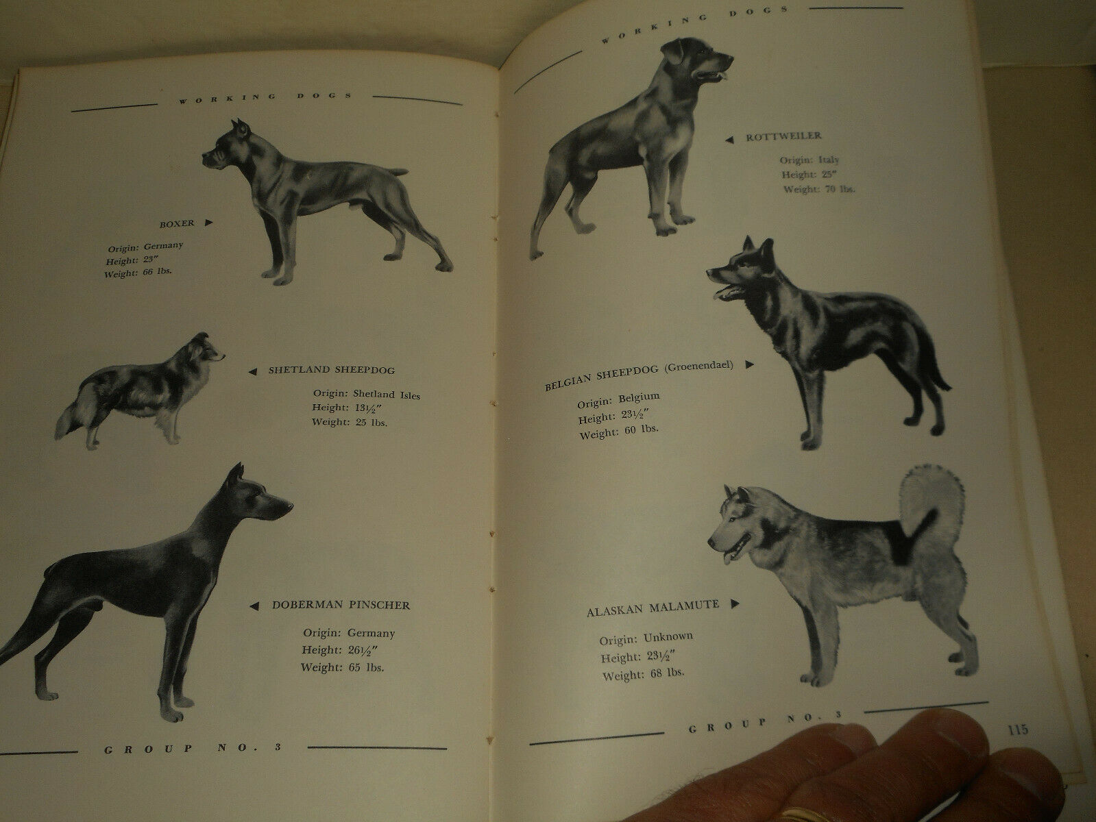Vintage KASCO MILLS Dog Owners Guide Book 1955 Funny Informative Illustrated - Fresh Stock Dated December 2025