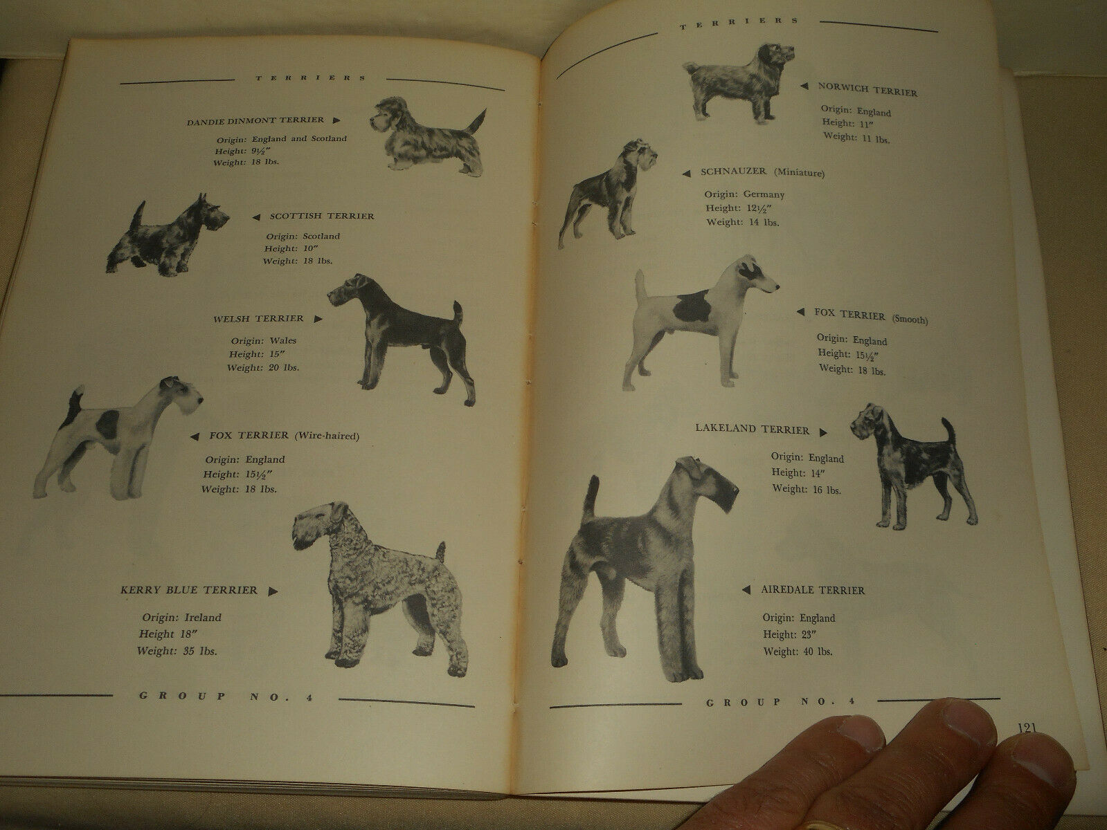 Vintage KASCO MILLS Dog Owners Guide Book 1955 Funny Informative Illustrated - Fresh Stock Dated December 2025