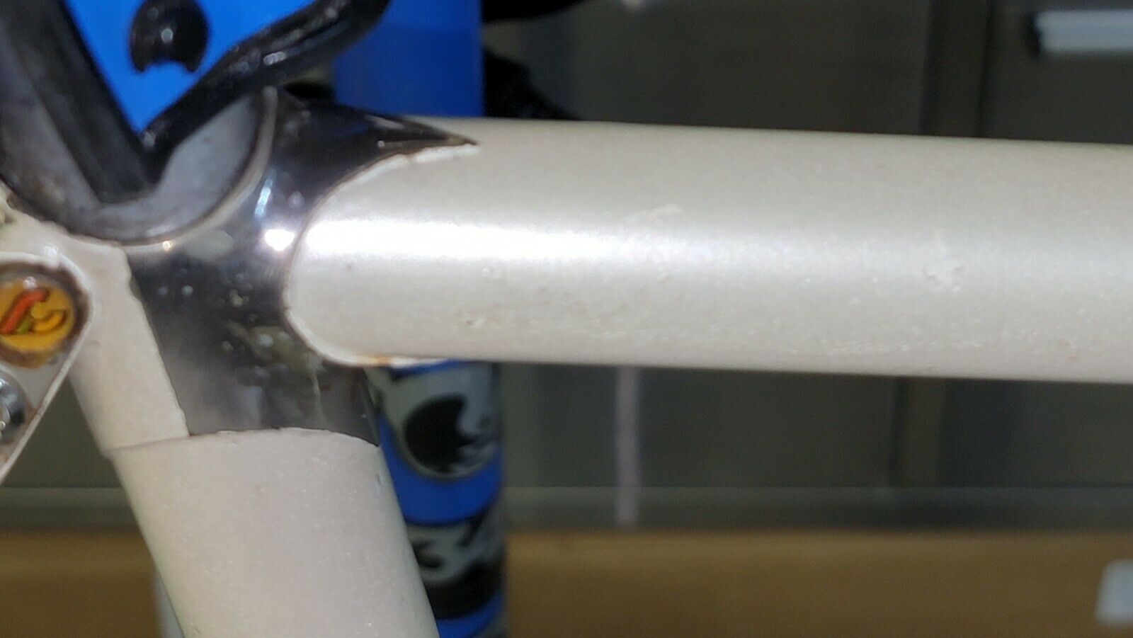 Cinelli Pearl white chrome lugs vintage Campy super record track pista Bike - Fresh Stock Dated February 2026